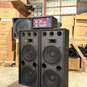 bafles dobles de 12" + potencia de 4 canales
